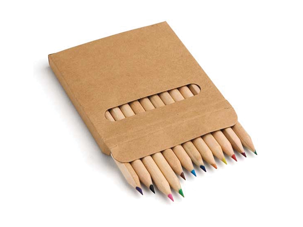 12 Natural Painting Pen Set